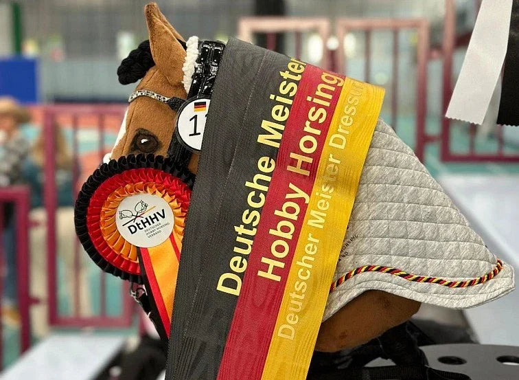 Award-winning Hobby Horse with German Hobby Horsing championship ribbons and rosette