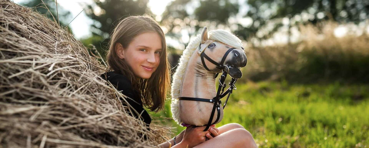 Hobby Horse Equipment Sets