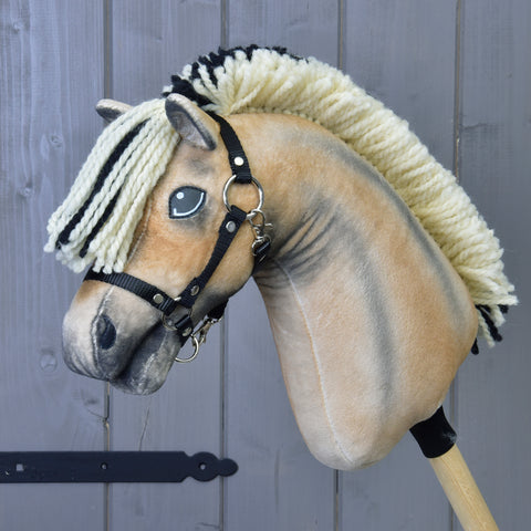 Hobby Horse Colby with black Halter