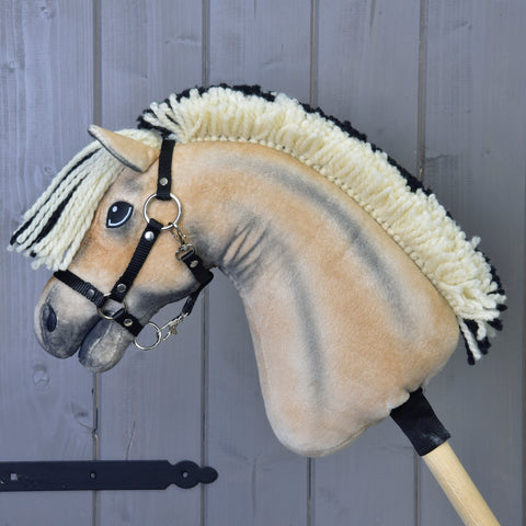 Hobby Horse Colby with black Halter