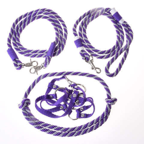 Set Start purple (halter, leash, reins, cordeo)