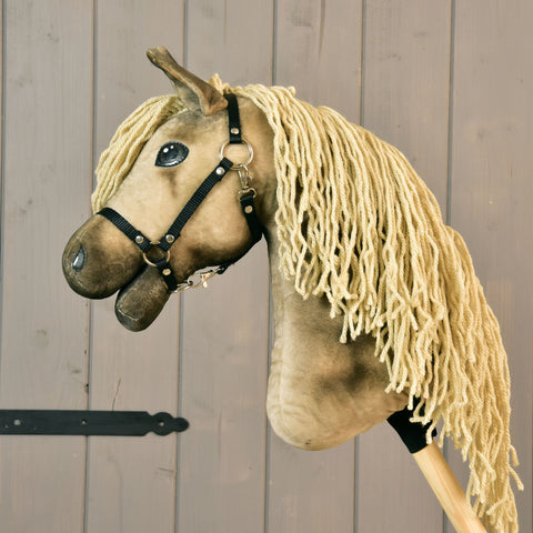 Hobby Horse Cormet (5)