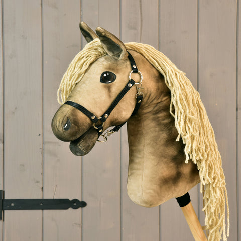Hobby Horse Cornet with black Halter (size M)