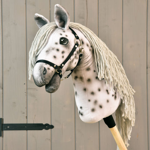 Hobby Horse Chantal with black Halter (size M)