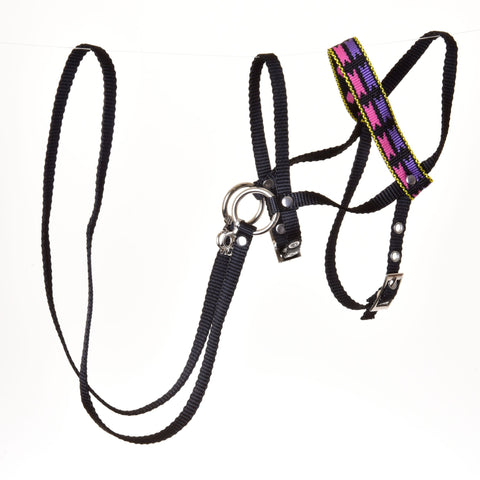 Black Bridle with Decoration from Strap 3 (size M)