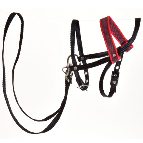 Black Bridle with Red Decoration from Strap (size M)