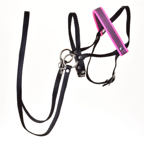 Black Bridle with Pink Decoration from Strap (size M)