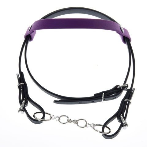 Bridle with Violet Headband (size M)