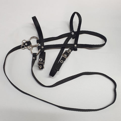 Black bridle with reins from strap (size M)