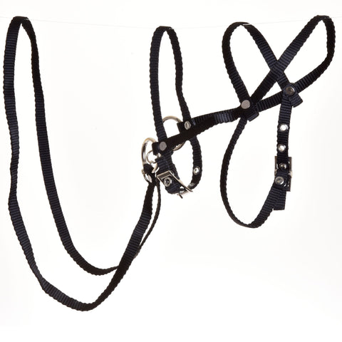 Black bridle with reins from strap (size M)