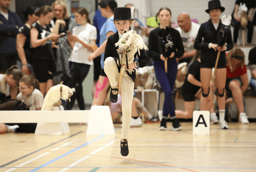 The Foundation of Hobby Horsing – The Basic Gaits