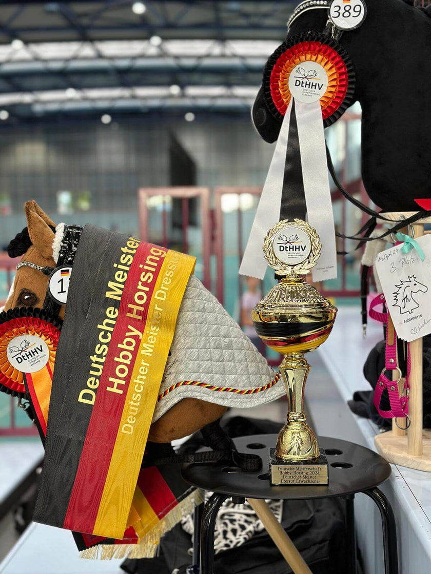 My Journey to the German Hobby Horsing Championship