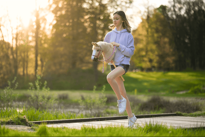 How to start with Hobby Horsing?