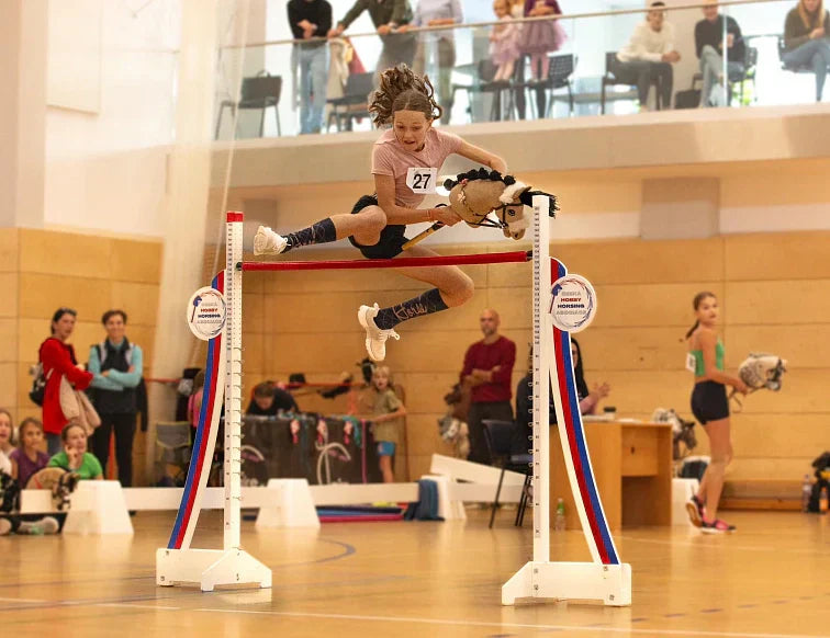 Disciplines in Hobby Horsing