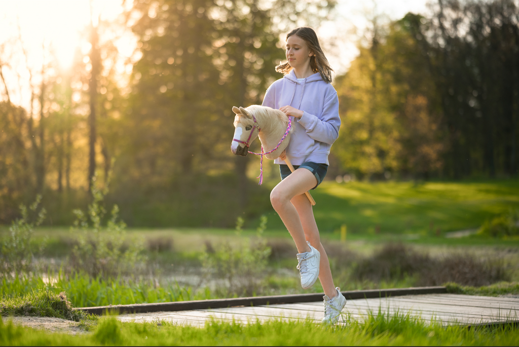 How to start with Hobby Horsing?