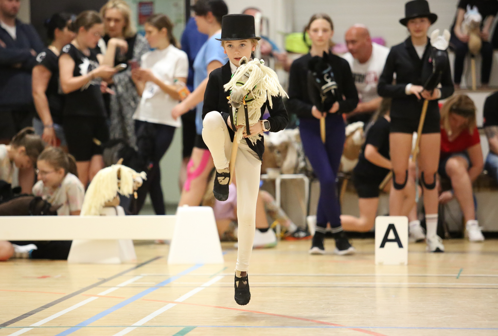 The Foundation of Hobby Horsing – The Basic Gaits