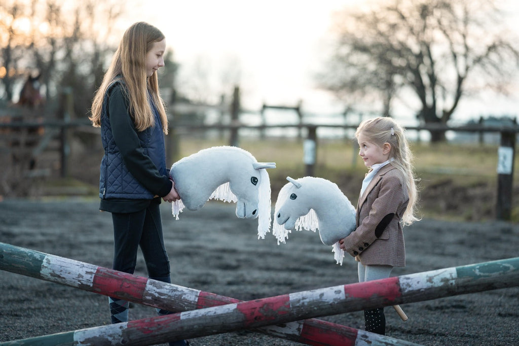 How to Choose the Right Size of a Hobby Horse?