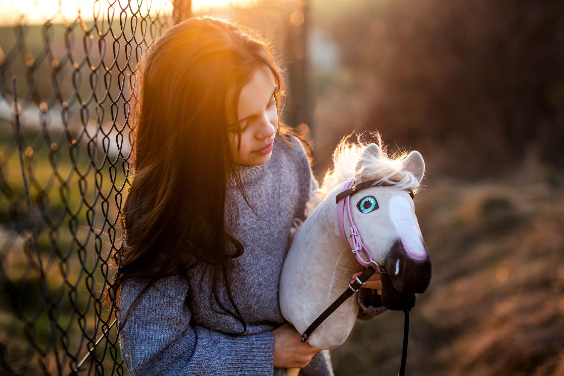 You and Hobby Horse