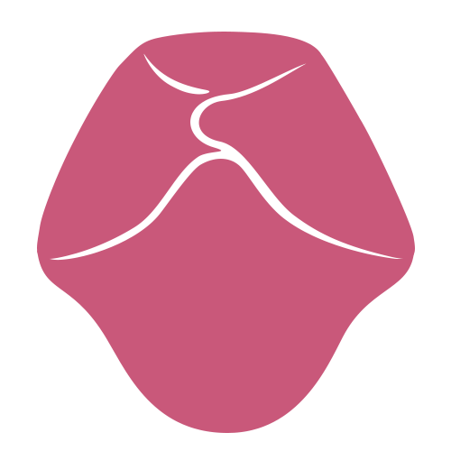 Stylized illustration of a human tongue showing three raised white lines representing median and lateral sulci on a pink background.