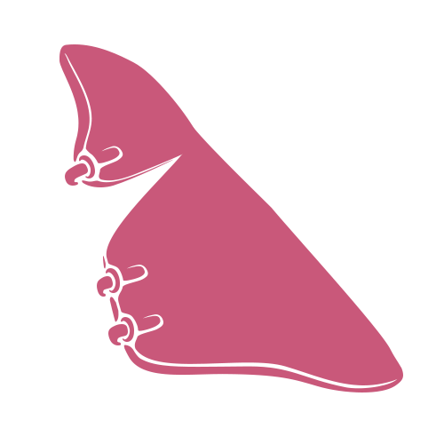 Minimalist illustration of a pink hand forming the American Sign Language letter B on a light gray background.