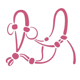Rope Halters