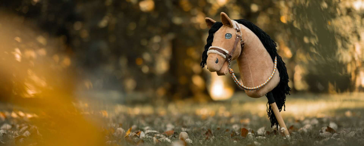 Halters and Leads