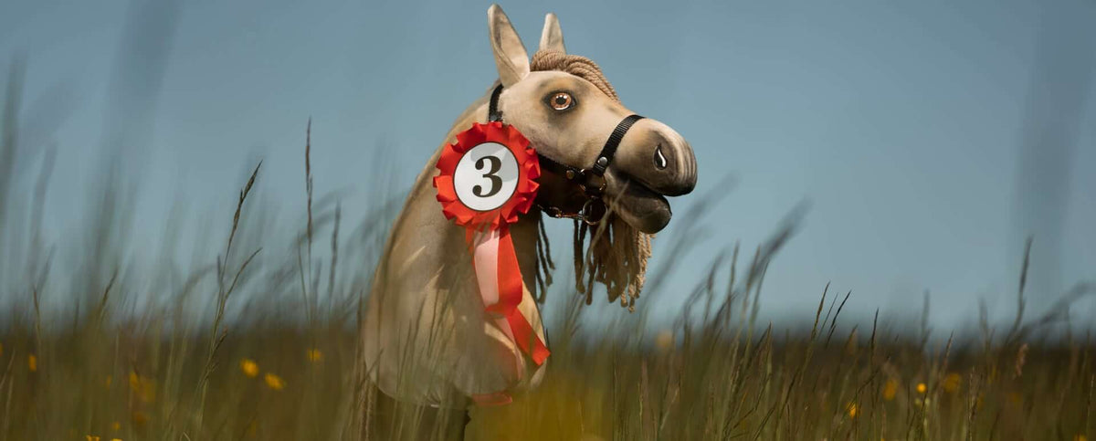Hobby Horse Show Ribbons