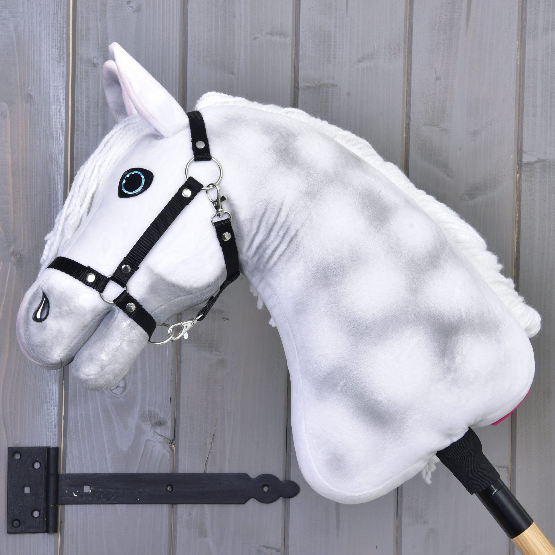 Hobby Horse Elektra with Black Halter