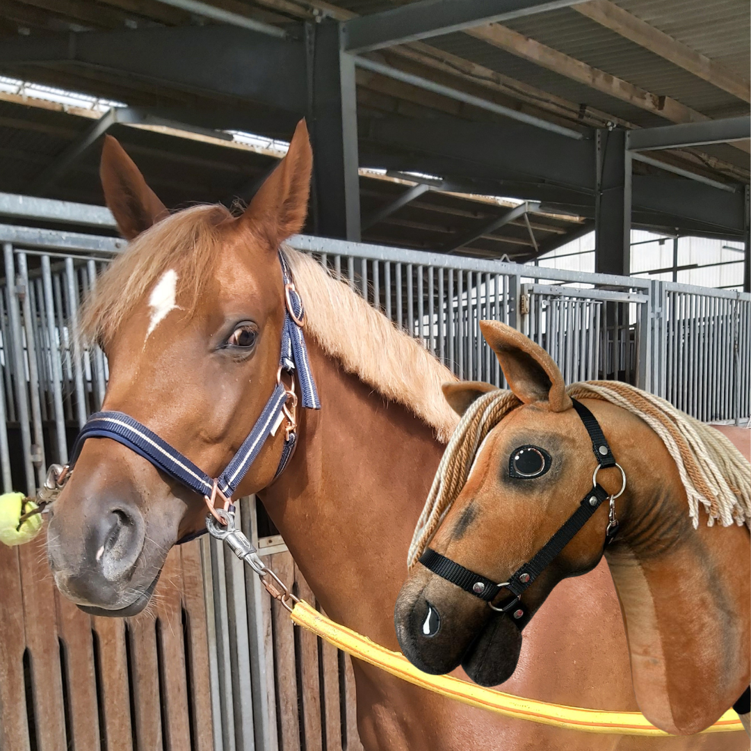 Hobby Horse based on your photo