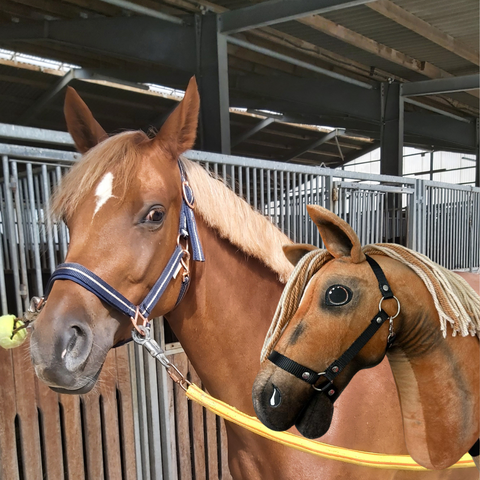 Hobby Horse based on your photo