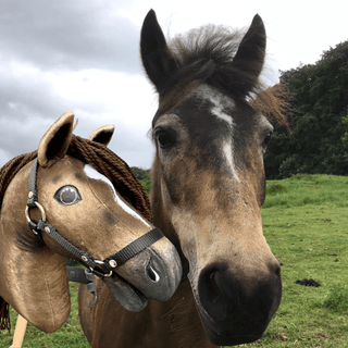 Hobby Horse based on your photo