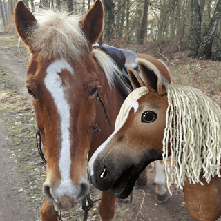 Hobby Horse based on your photo