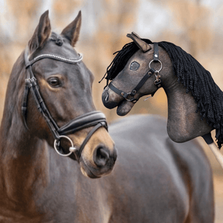Hobby Horse based on your photo