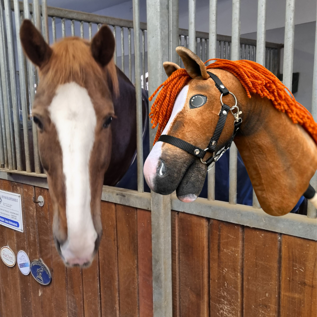 Hobby Horse based on your photo