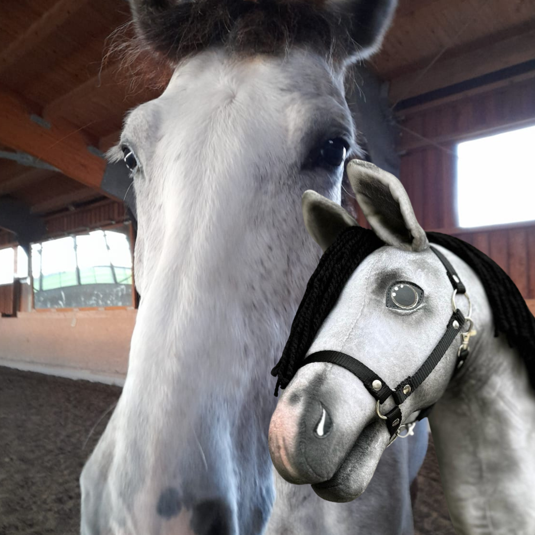 Hobby Horse based on your photo