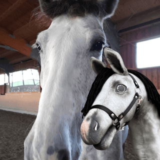 Hobby Horse based on your photo