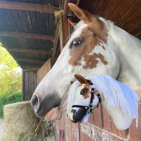 Hobby Horse based on your photo