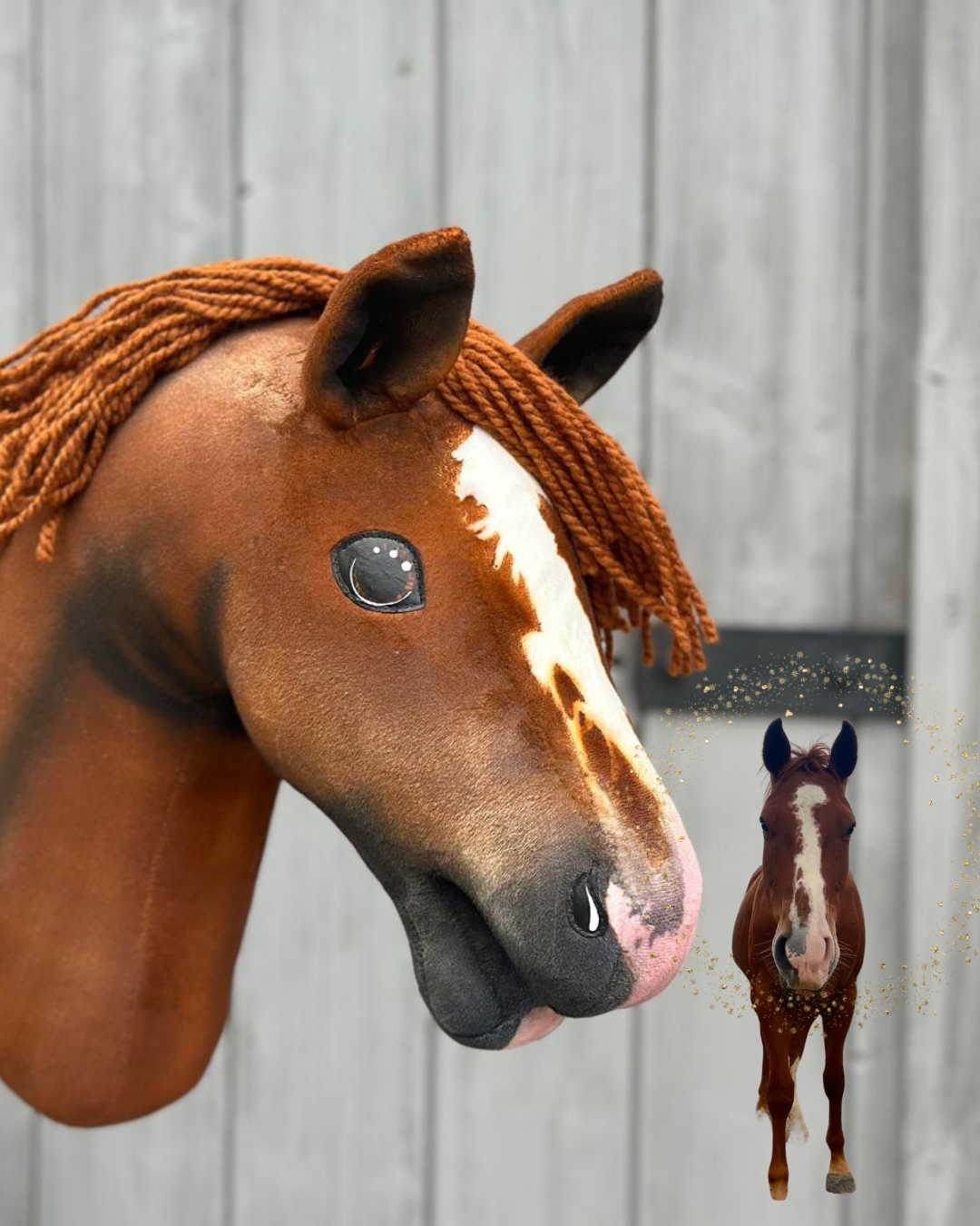 Hobby Horse based on your photo