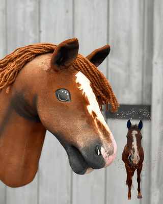 Hobby Horse based on your photo