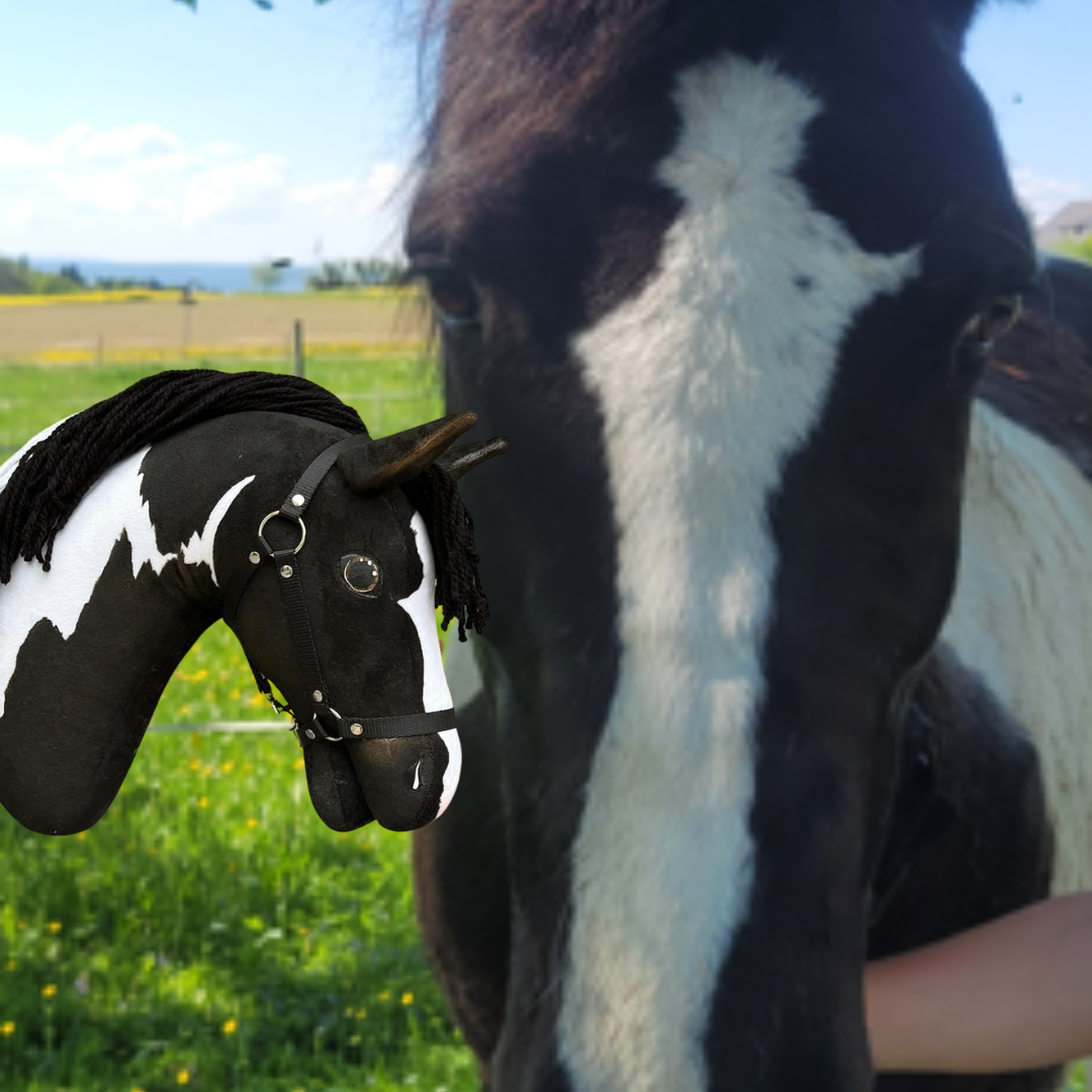 Hobby Horse based on your photo