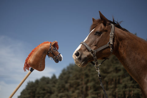 Hobby Horse based on your photo