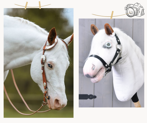 Hobby Horse based on your photo