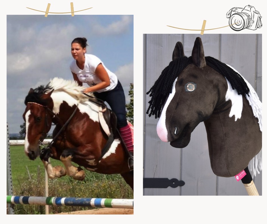 Hobby Horse based on your photo