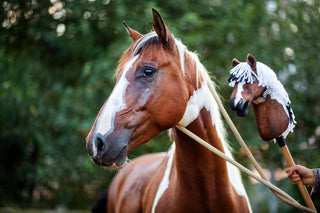 Hobby Horse based on your photo