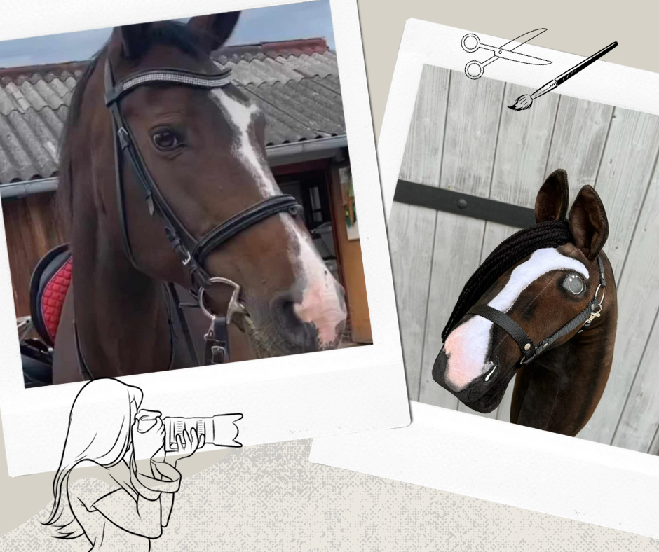 Hobby Horse based on your photo