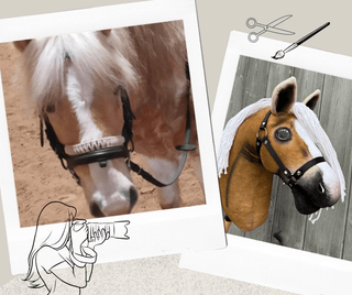 Hobby Horse based on your photo