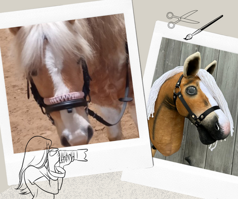 Hobby Horse based on your photo