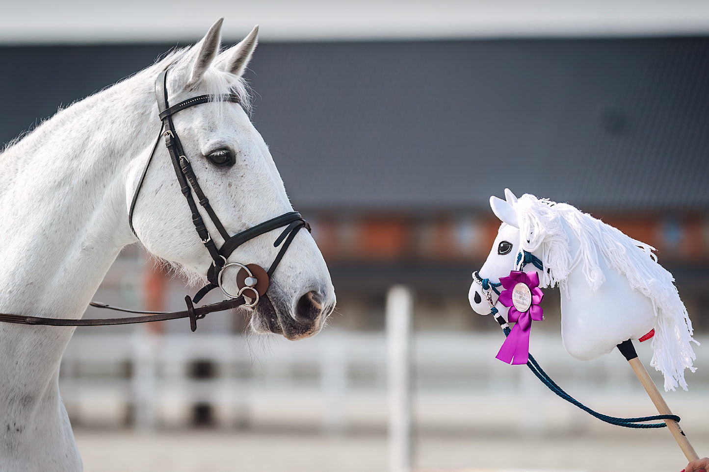 Hobby Horse based on your photo