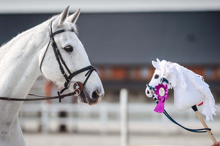 Hobby Horse based on your photo