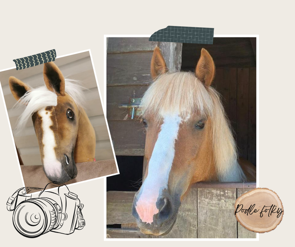 Hobby Horse based on your photo